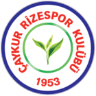 collection-type-image