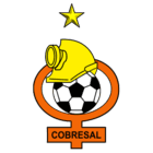 collection-type-image