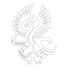 collection-type-image