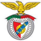 collection-type-image