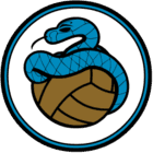 collection-type-image