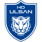 collection-type-image