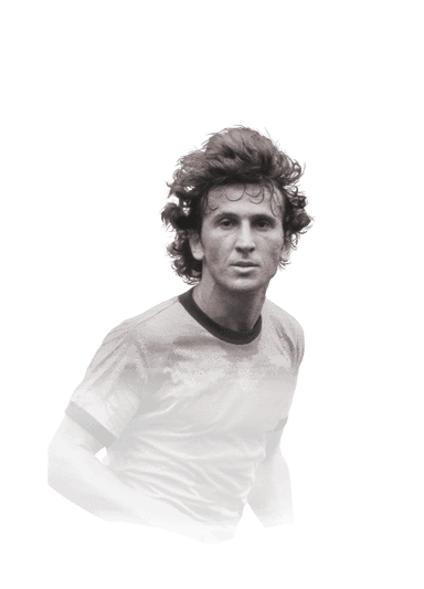 Zico image