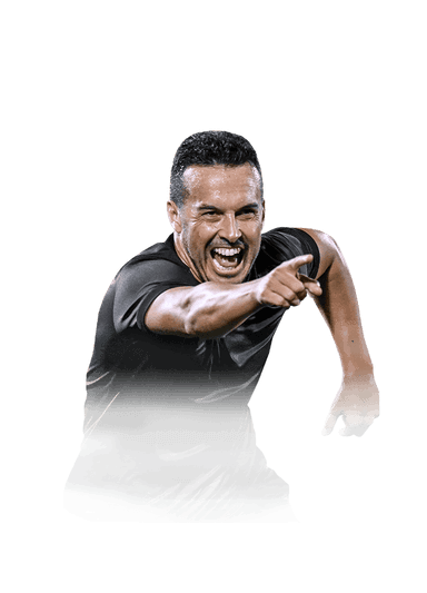 Pedro image