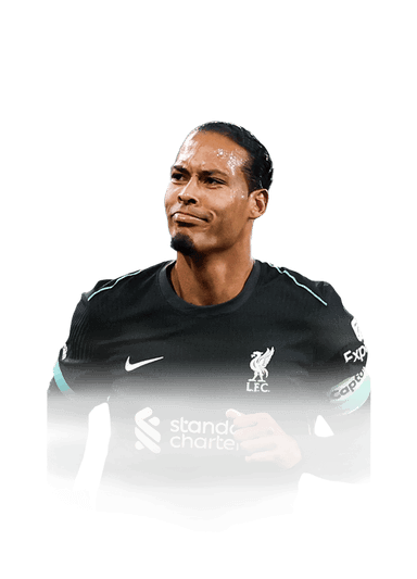 van Dijk image