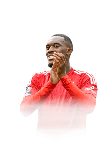 Hudson-Odoi image