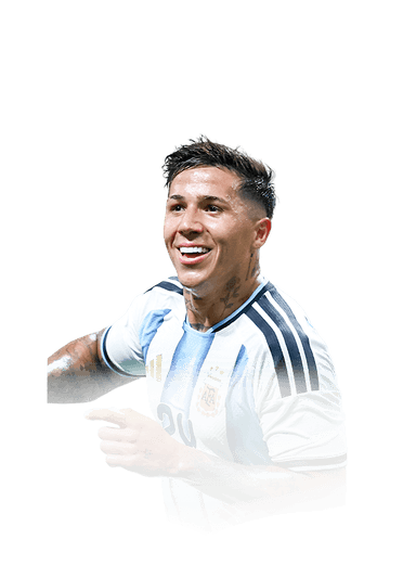 Fernández image