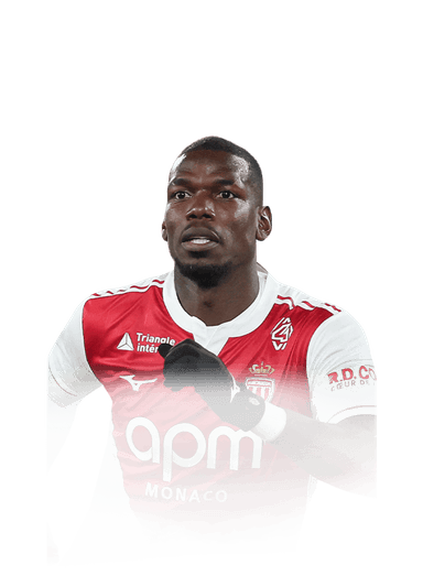 Pogba image