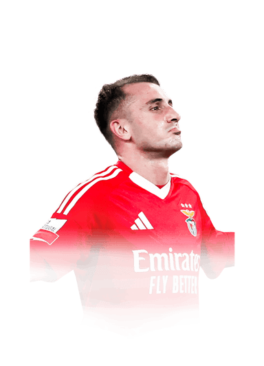 Aktürkoğlu image