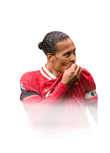 van Dijk image