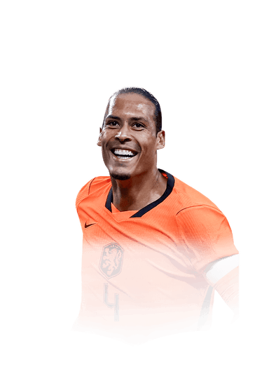 van Dijk image