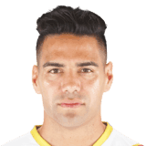 Falcao image