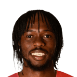 Gervinho image