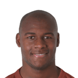 Ibarbo image