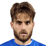 Palmiero image