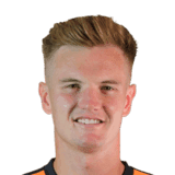 Shelton image