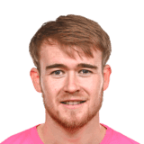 Wade image