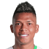 Arce image