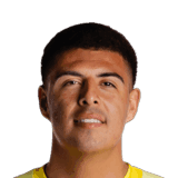 Ochoa image