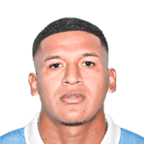 Pacheco image