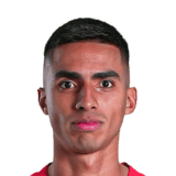 Navarro image
