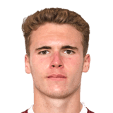 Dyche image