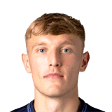 Anderson image
