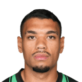 Ruan image