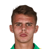 Luan Patrick image