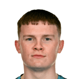 Walsh image