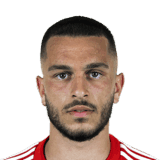 Ibrahimović image