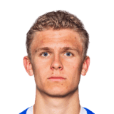Mathisen image