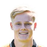 Hoddle image
