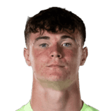 McMullan image