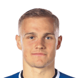 Friberg image