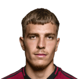 Vydra image