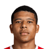 Vinícius Lopes image