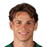 Mayer image