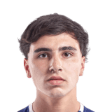 Fernández image