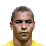 Gilberto Silva image