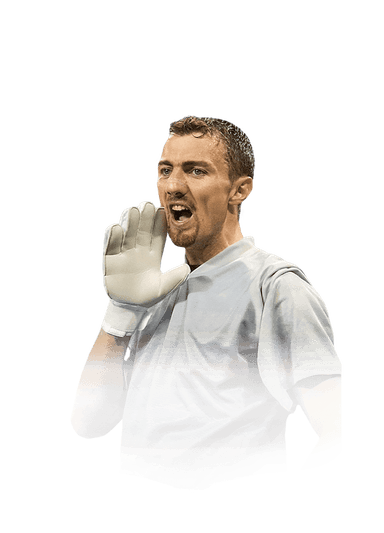 Dudek image
