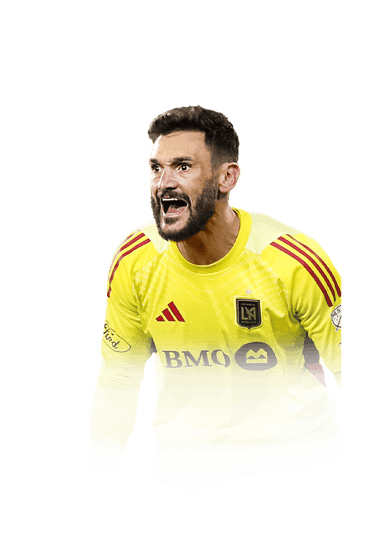 Lloris image