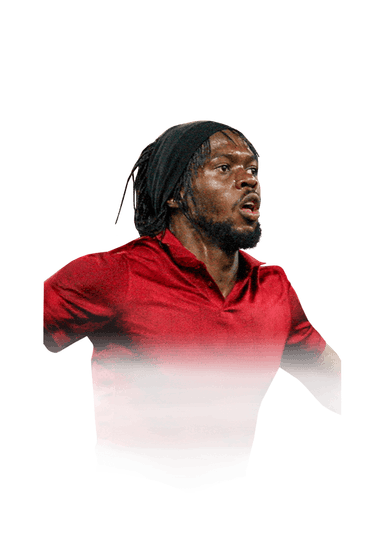 Gervinho image