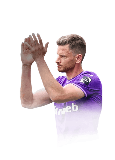 Vertonghen image