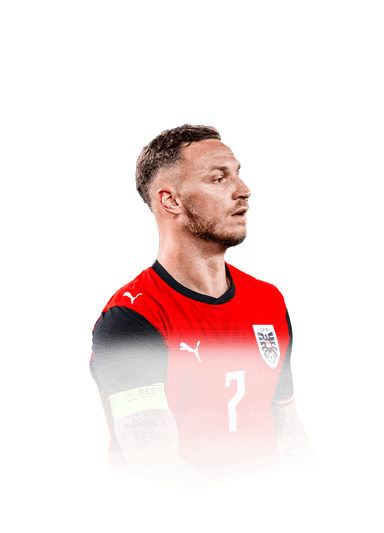Arnautović image