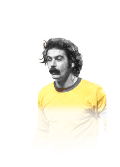Rivellino image