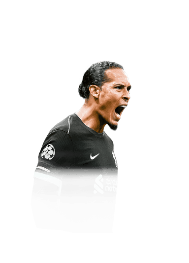 van Dijk image