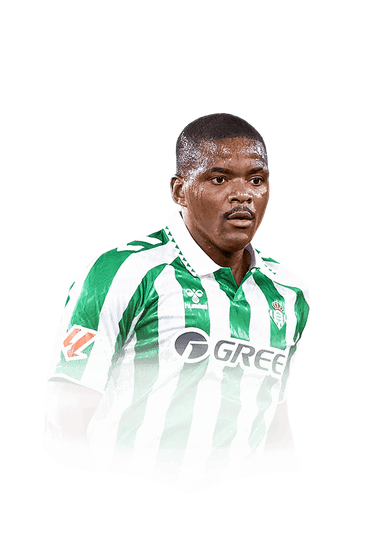 William Carvalho image