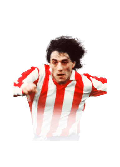 Paulo Futre image