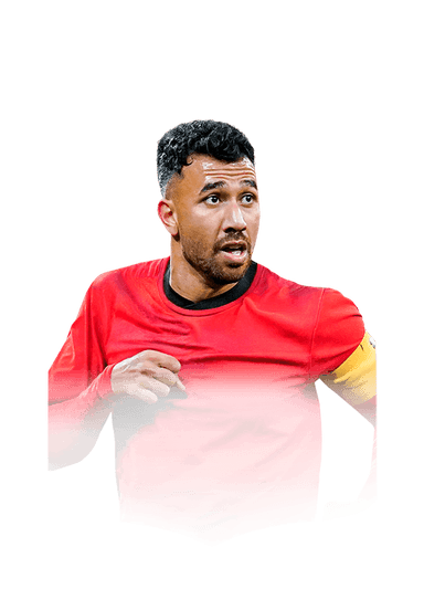 Trezeguet image